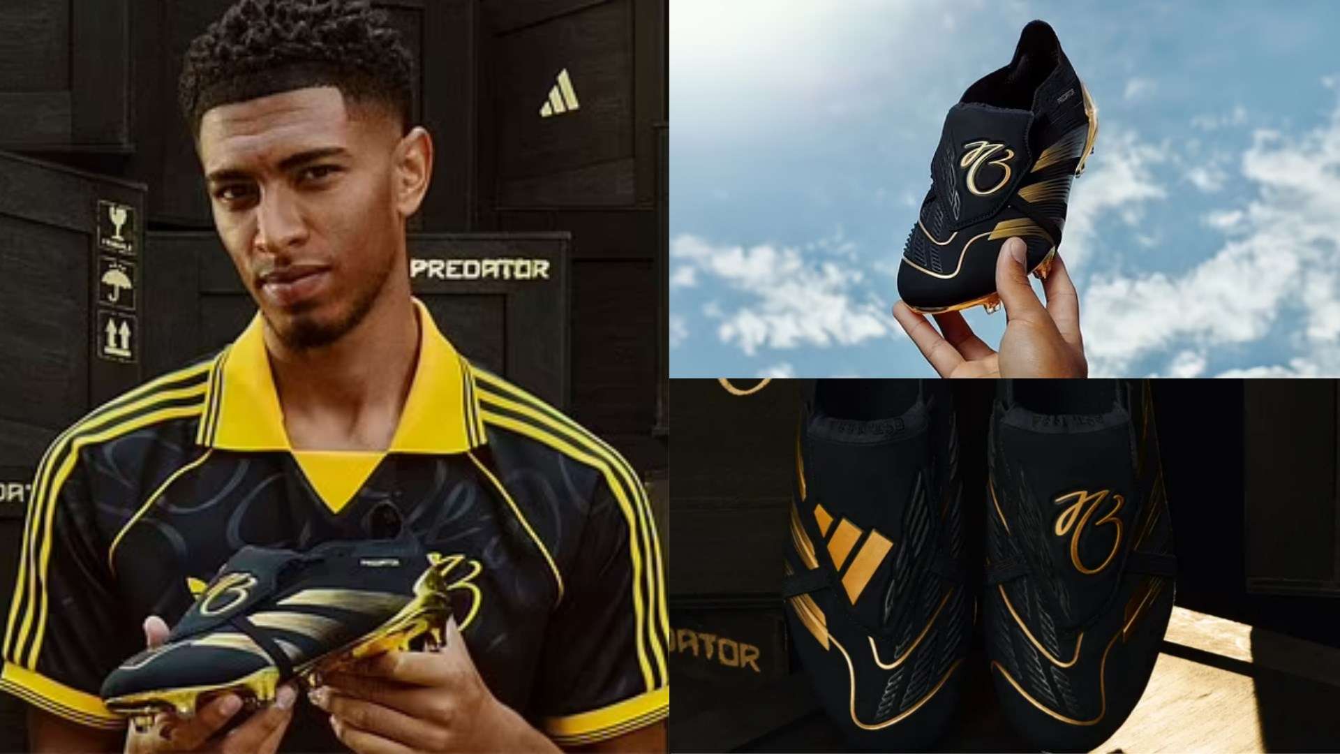 全队的战斗 全队的战斗