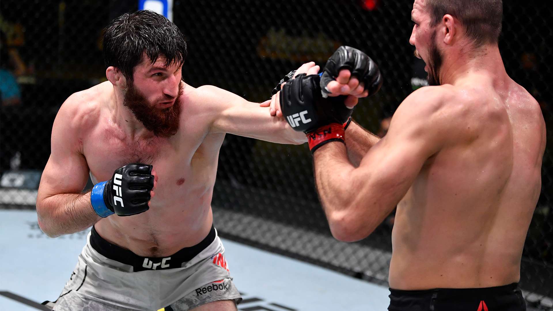 桑乔与滕哈 桑乔与滕哈