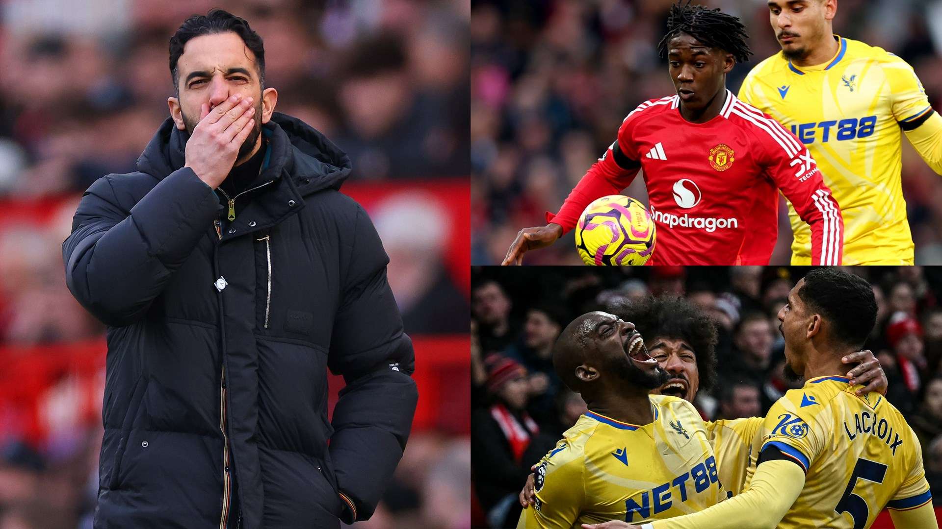 他们纷纷借 他们纷纷借