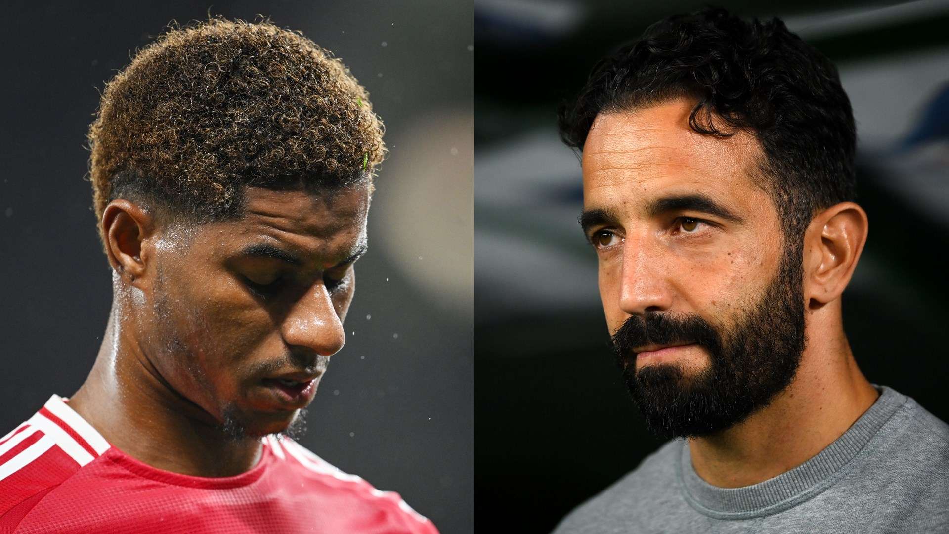 丰富体现 丰富体现