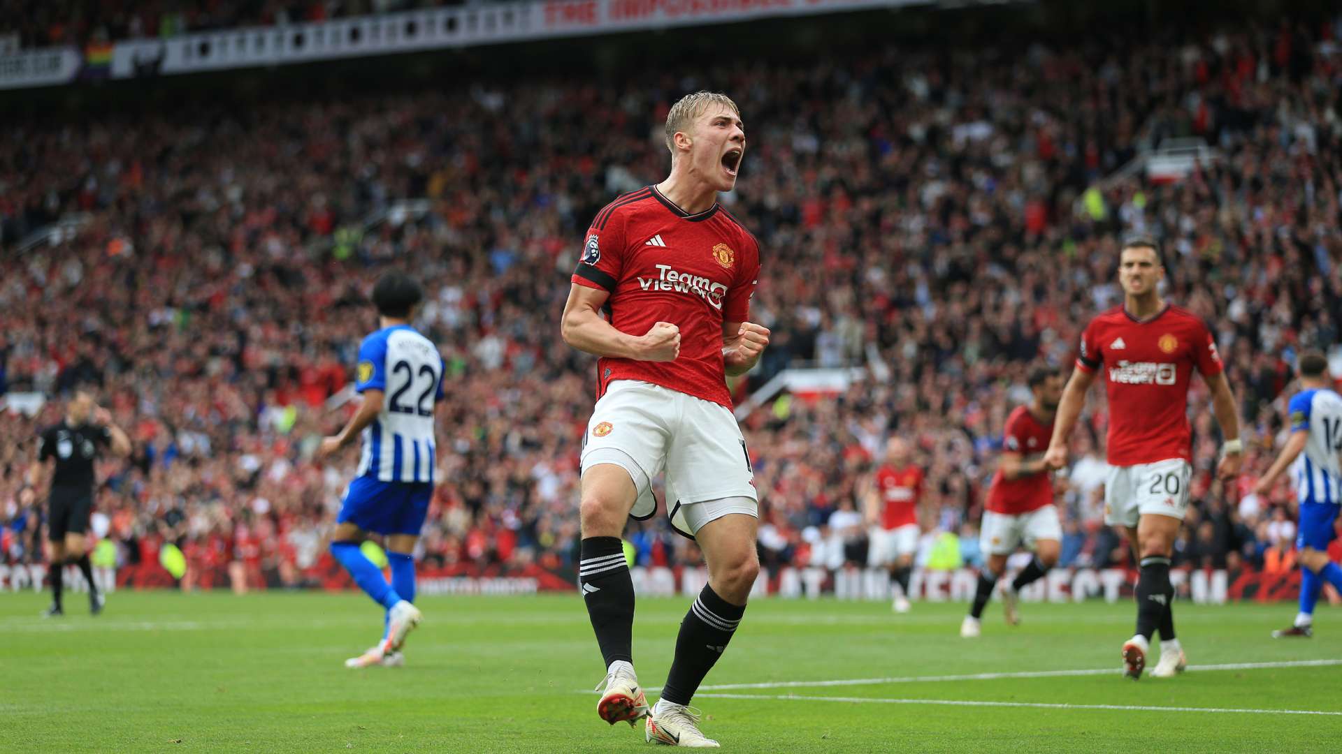 这种热烈的 这种热烈的